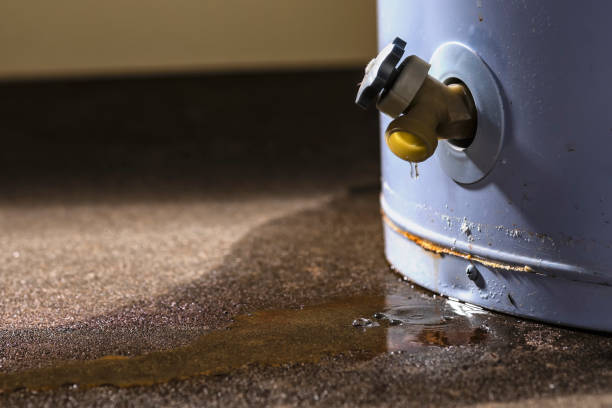 Best Water damage contractors near me  in Steamboat Springs, CO