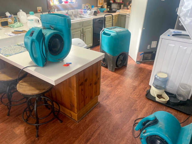 Best Carpet water damage restoration  in Steamboat Springs, CO