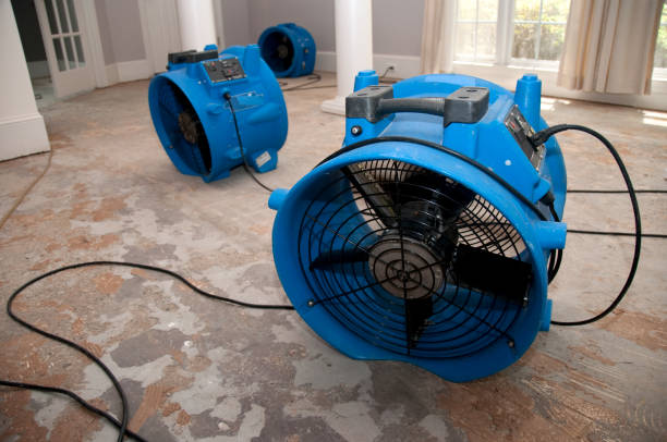 Best 24-hour water damage restoration  in Steamboat Springs, CO