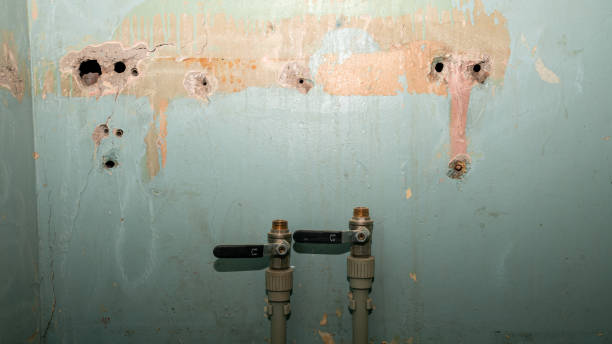 Best Flood restoration services  in Steamboat Springs, CO