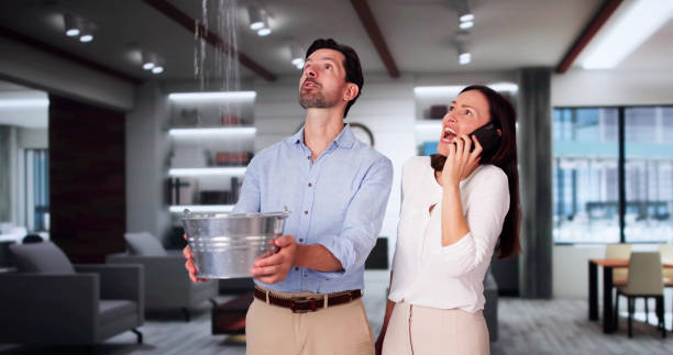 Best Basement water damage restoration  in Steamboat Springs, CO