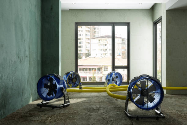 Best Emergency water damage restoration  in Steamboat Springs, CO